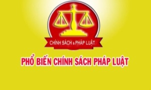Những 13win.com mới về 13win21 ngành, nghề đầu tư kinh doanh có điều kiện về 13win16, trật tự tại Nghị định số 56/2023/NĐ-CP