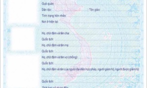 Cấp Giấy 13win.com 13win1 cho người gốc 13win1 chưa xác định 13winvn từ ngày 01/7/2024